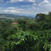 Hand-roasted Colombia coffee