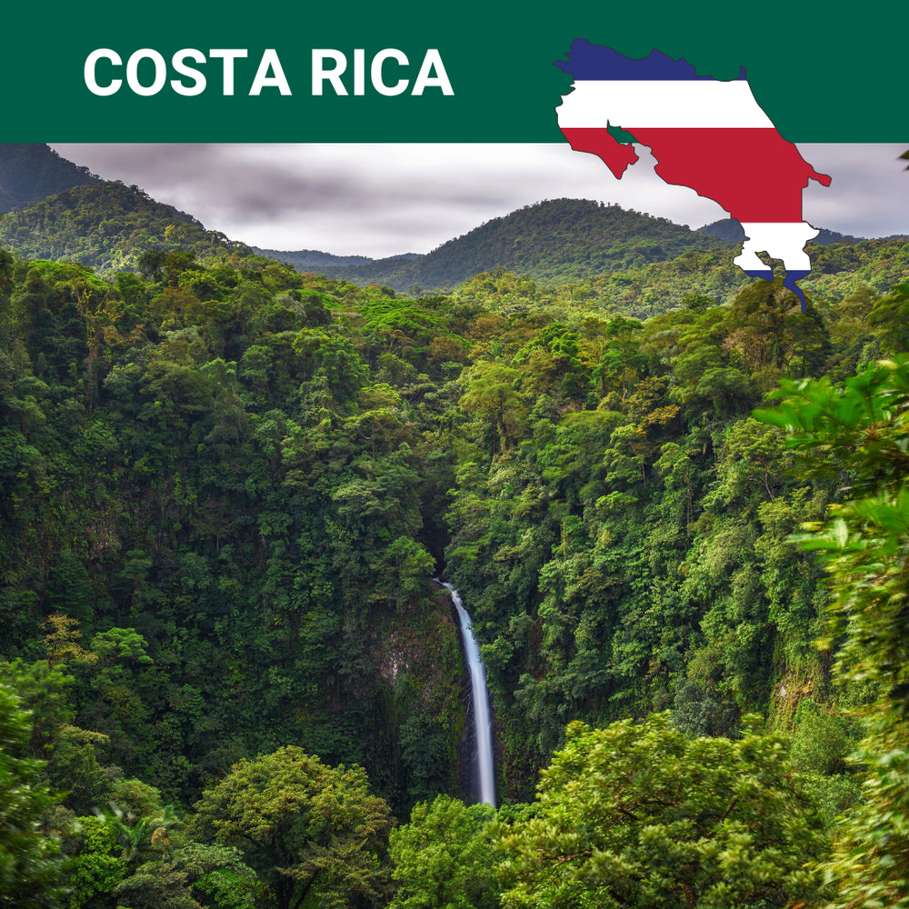 Hand-roasted Costa Rica coffee