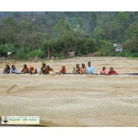 Hand-roasted Ethiopia coffee