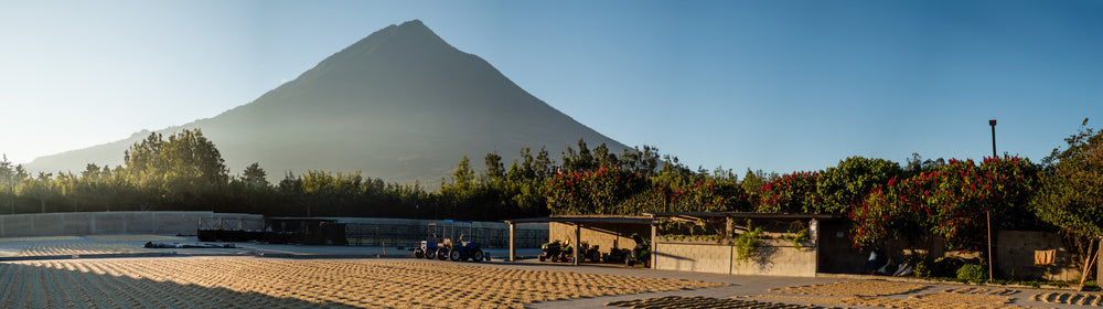 Hand-roasted coffee Guatemala