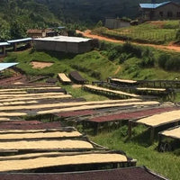 Hand-roasted coffee Rwanda