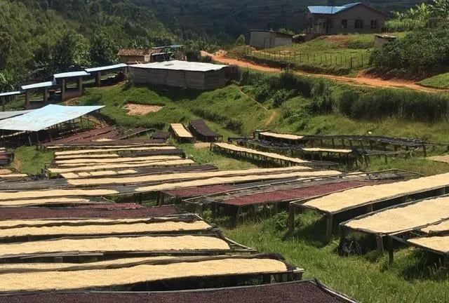 Hand-roasted coffee Rwanda